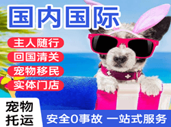 大水泊机场邮寄国际宠物托运 【国